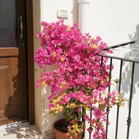 Casa San Cosimo *